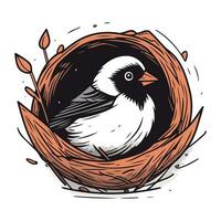 Illustration of a bird in a nest. Hand drawn vector illustration.