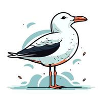 Seagull. Vector illustration of a seagull on white background.