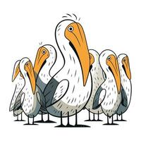 Pelicans. Cartoon vector illustration. Isolated on white background.