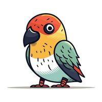 Parrot vector illustration. Isolated parrot on white background.