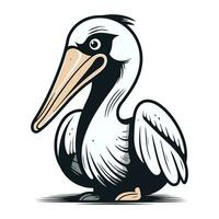 Pelican isolated on white background. Vector illustration. EPS 10