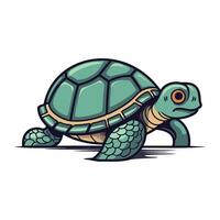 Cartoon turtle vector illustration isolated on white background. Cute cartoon tortoise.