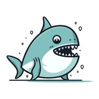 Shark vector illustration on white background. Cute cartoon shark.