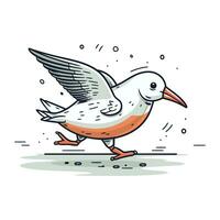 Vector illustration of a flying seagull on a white background.