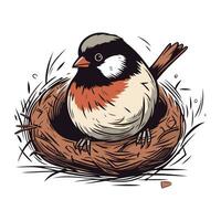 Chickadee in the nest. Hand drawn vector illustration.