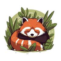 Cute red panda sleeping in the leaves. Vector illustration.