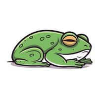 Frog cartoon icon. Vector illustration of a green frog on a white background.