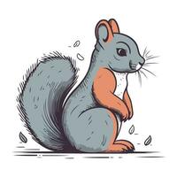 Squirrel. Vector illustration of a squirrel. Hand drawn squirrel.