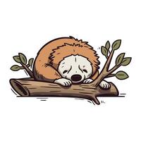 Cute cartoon sleeping sloth on the tree. Vector illustration.