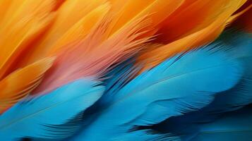 a close up of a fluffy feather photo