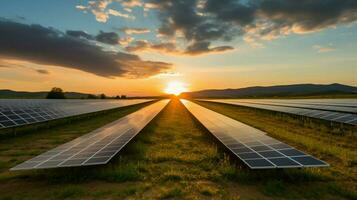 a solar farm in the field with a sunset in the background photo