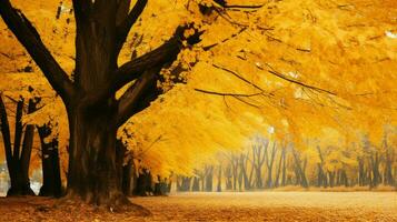 otoño árbol en bosque hojas brillante amarillo foto