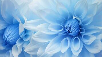 azul flor cerca arriba naturaleza orgánico modelo foto