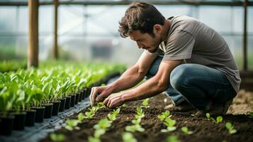 farm worker planting new life in greenhouse photo