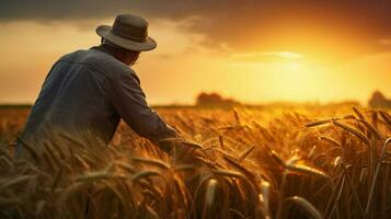 granjero trabajando al aire libre cosecha trigo a puesta de sol foto