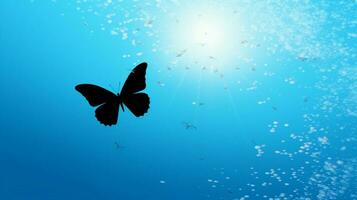 flying butterfly silhouette on blue sky backdrop photo