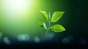 fresh green leaf symbol of growth and freshness in nature photo