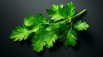 Fresco hoja de perejil un sano verde vegetal para orgánico foto