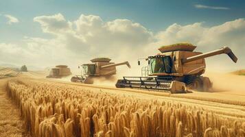 golden combine harvesters work in wheat fields cutting photo