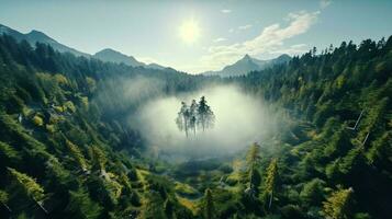 hovering drone captures aerial view of nature photo