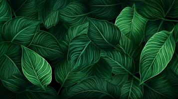 leaf nature backgrounds pattern illustration plant back photo