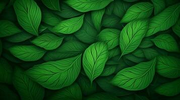 leaf pattern on green backdrop fresh springtime nature photo