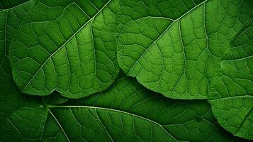 leaf pattern on green backdrop fresh springtime nature photo