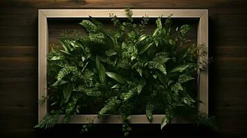 leafy plant in a rustic wooden frame freshness abounds photo