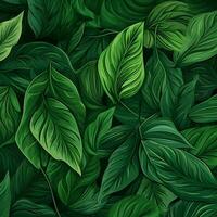 leaf nature backgrounds pattern illustration plant back photo