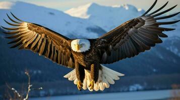 majestuoso calvo águila se extiende alas en medio aire foto