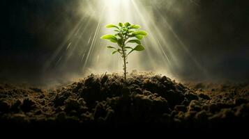 nuevo vida emerge con planta de semillero crecimiento y raíces foto