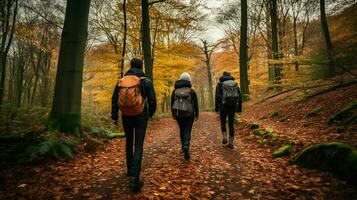 joven adultos excursionismo en sereno otoño bosque foto