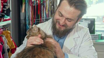 Cheerful veterinarian smiling joyfully, petting adorable cat at his clinic video
