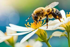 un abeja es en un blanco flor con un azul antecedentes. generado por ai foto