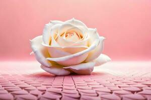 a single white rose on a pink background. AI-Generated photo