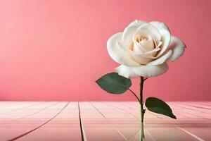 white rose on pink background. AI-Generated photo