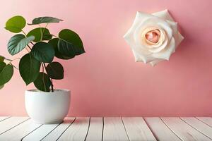 un blanco Rosa en un rosado pared con un en conserva planta. generado por ai foto