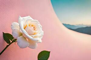 a single white rose is sitting on a pink wall. AI-Generated photo