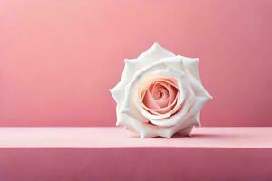 a white rose on a pink background. AI-Generated photo