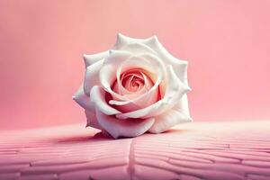 a single rose on a pink background. AI-Generated photo