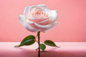 a single white rose is on a pink background. AI-Generated photo