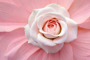 a pink rose is shown in the center of the flower. AI-Generated photo