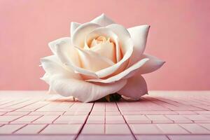 a white rose sitting on a pink background. AI-Generated photo