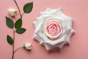 pink rose on pink background. AI-Generated photo