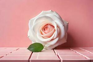 a white rose on a pink background. AI-Generated photo