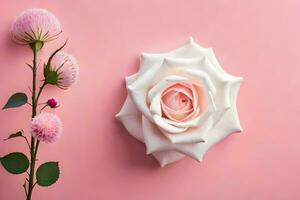 a rose and a pink flower on a pink background. AI-Generated photo