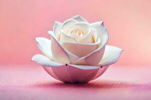 a white rose on a pink background. AI-Generated photo