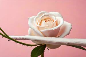 a white rose is shown on a pink background. AI-Generated photo