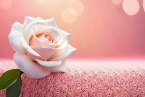 a single white rose on a pink background. AI-Generated photo