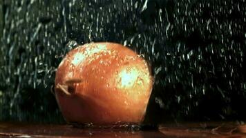 The knife cuts the onion in half. Filmed on a highspeed camera at 1000 fps. High quality FullHD footage video